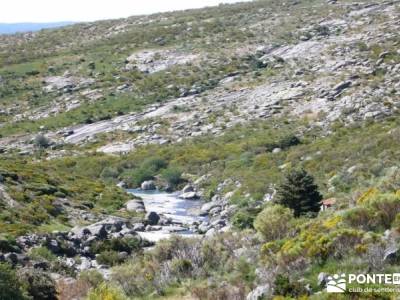 La Mira - Los Galayos (Gredos);excursiones con perros escapadas sierra de madrid